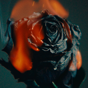 得吃官网免费入口
