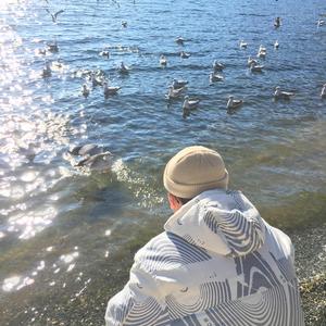 成人欧美视频在线看免费
