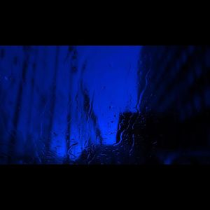 业余性自由摘花毛茸茸高清
